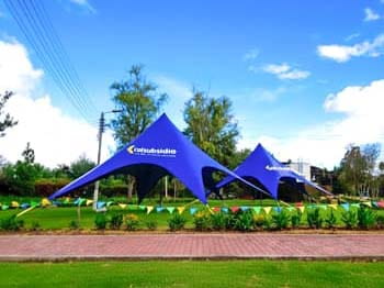 carpas elegantes para eventos